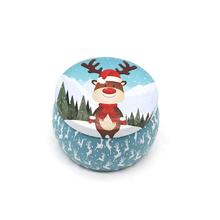 圣誕系列鐵盒 (13)